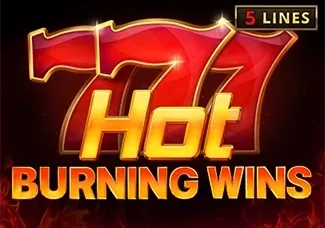 Hot Burning Wins game screenshot